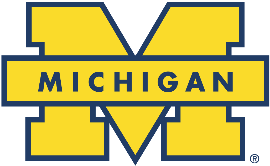 Michigan Wolverines 1996-Pres Secondary Logo iron on transfers for fabric...